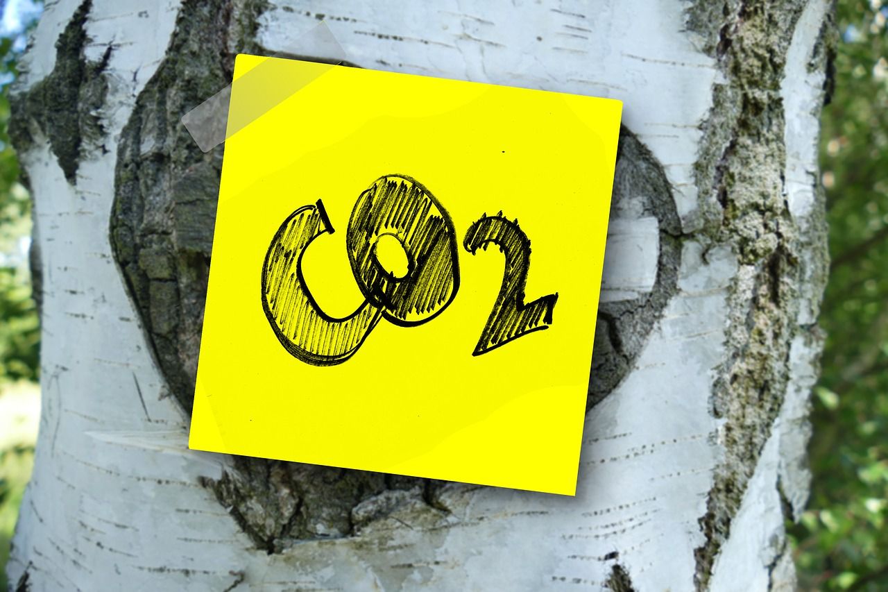 Objectifs, évaluation et compensation CO2 : 3 conseils autour de votre stratégie climat