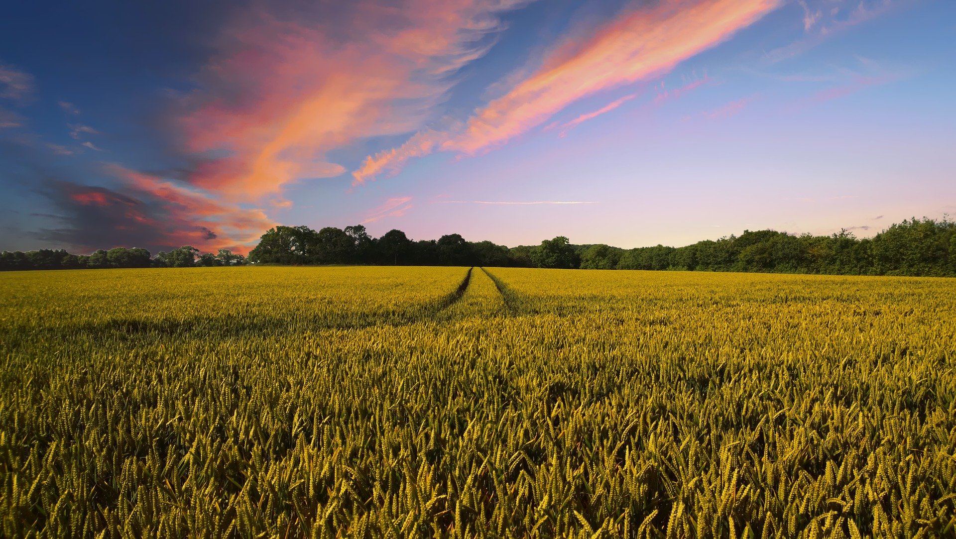 Webconf APCC – Comment éco-concevoir l’amont agricole pour permettre aux industriels agroalimentaires de réduire leur impact environnemental ?